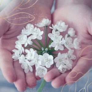 Mobile Spa Package Comprehensive Manicure, Massage, and Facial Therapy