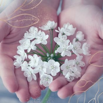 Mobile Spa Package Comprehensive Manicure, Massage, and Facial Therapy